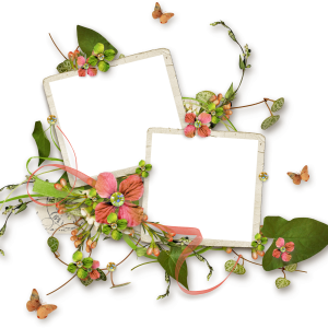 Floral frame PNG