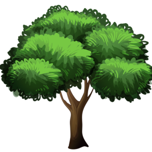 tree PNG