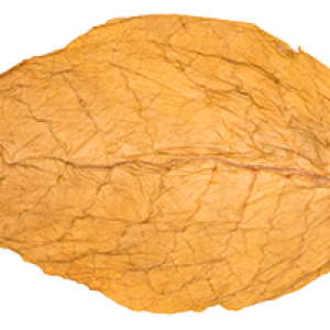 Tobacco PNG