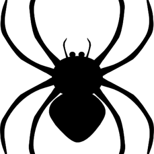 Black spider siluet logo PNG image