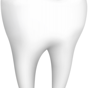 tooth png