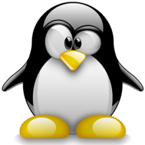 Linux logo PNG