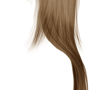 Women hair PNG image