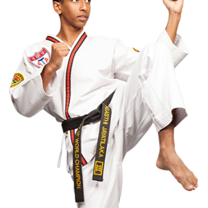 Karate PNG