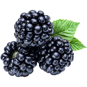 Blackberry PNG
