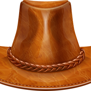 Cowboy hat PNG image