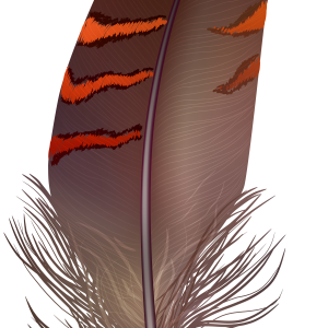 Feather PNG