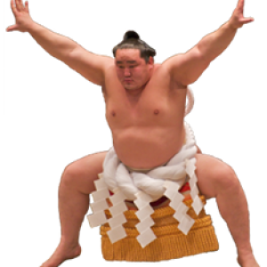Sumo PNG