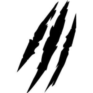 Scratches claw PNG image