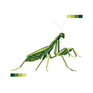 Mantis PNG