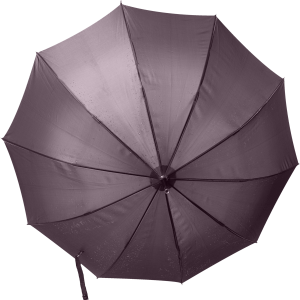 Umbrella PNG