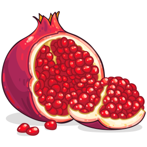 Pomegranate PNG image