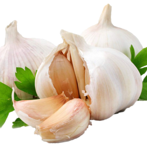 Garlic PNG