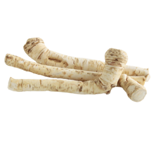 Horseradish PNG