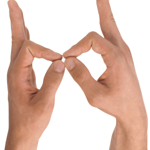 Hands PNG, hand image free