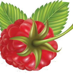Rraspberry PNG image