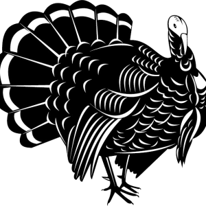 Turkey bird PNG