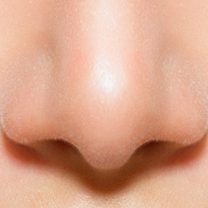 Human nose PNG