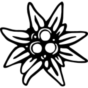 Edelweiss PNG