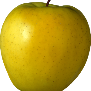 Yellow apple PNG