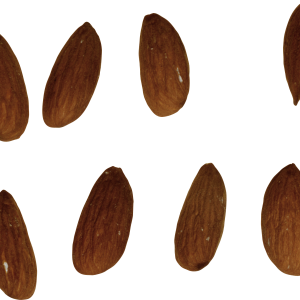 Almond PNG