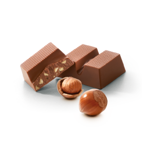 hazelnut PNG