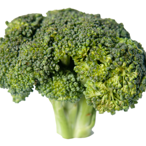 Broccoli PNG