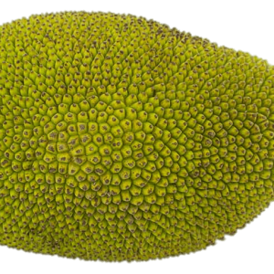 Jackfruit PNG