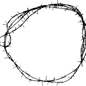 Barbed wire PNG