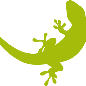 Gecko PNG