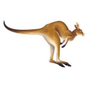 Kangaroo PNG