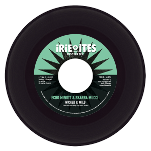 Vinyl record PNG