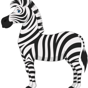 Zebra PNG image
