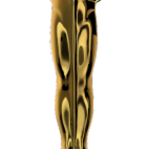 Academy Awards PNG, the Oscars PNG