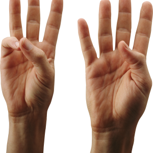hand PNG