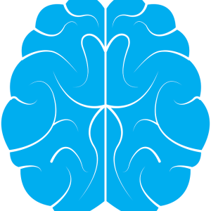 Brain PNG