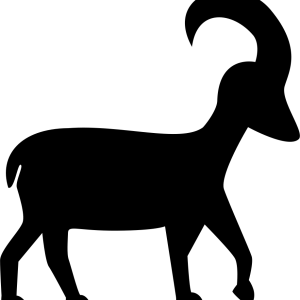 Capricorn PNG