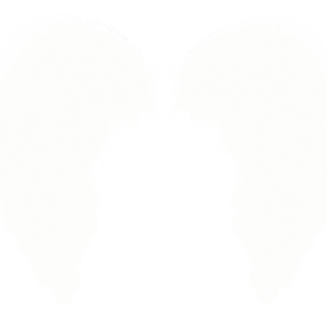 White wings PNG