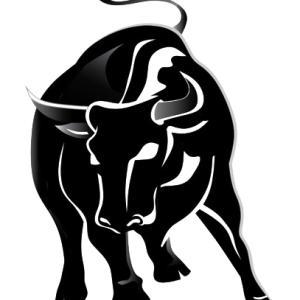 Taurus PNG