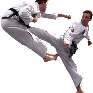 Taekwondo PNG