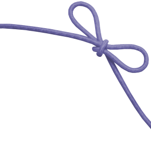 Shoelaces PNG