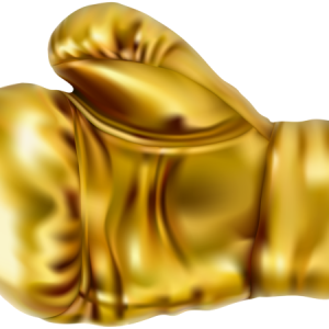 boxing gloves PNG