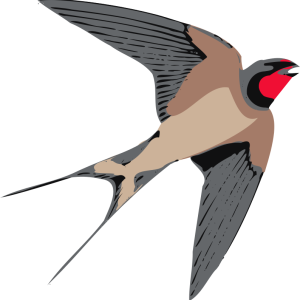Swallow PNG