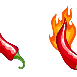 Chili pepper PNG