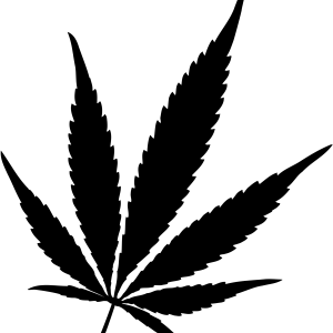 Cannabis PNG