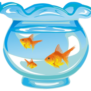 Aquarium PNG