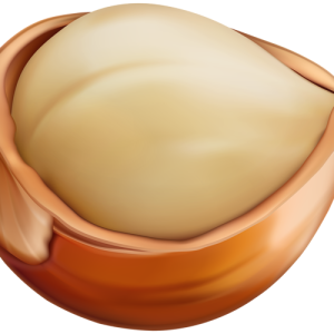 hazelnut PNG