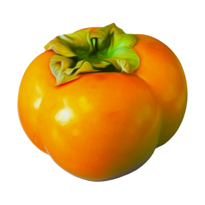 Persimmon PNG image