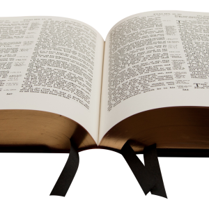 Book PNG