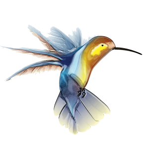Hummingbird PNG